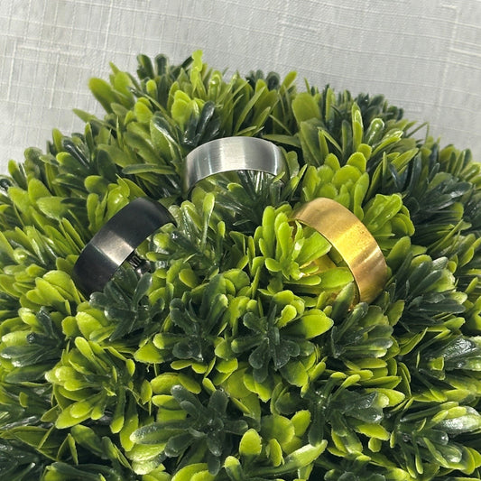 Titanium Mens Rings